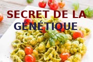 Que Manger Pour Maigrir (En Identifiant Sa Génétique)